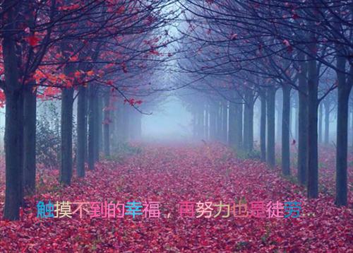 2023年结婚祝福语