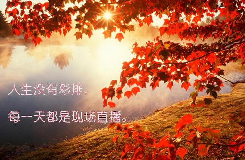 课前两分钟小故事