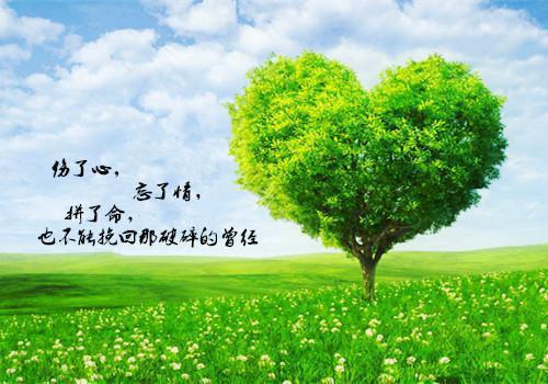 热文推荐春风有信花无期小说大结局（贺墨琛白蔷）书荒必看列表