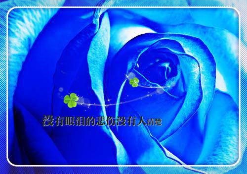 一年又至尾声，你的个人年终工作总结写好了吗？