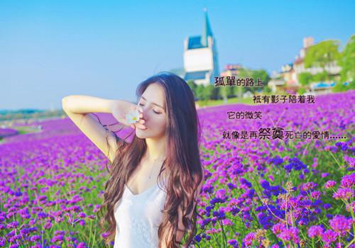 200字的寓言故事加寓意