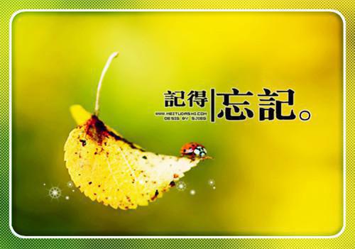 2023年7月教师辞职报告范文