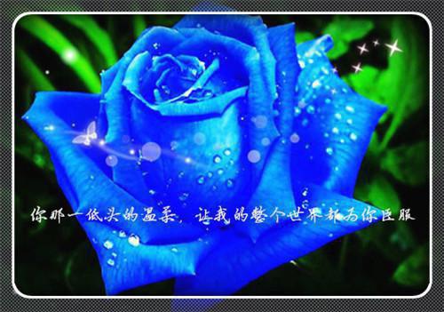 李燕尔萧宁安全文免费阅读(梦月再娶小说）全文免费李燕尔萧宁安读无弹窗大结局_ 梦月再娶小说李燕尔萧宁安免费李燕尔萧宁安读最新章节列表_笔趣阁（李燕尔萧宁安）