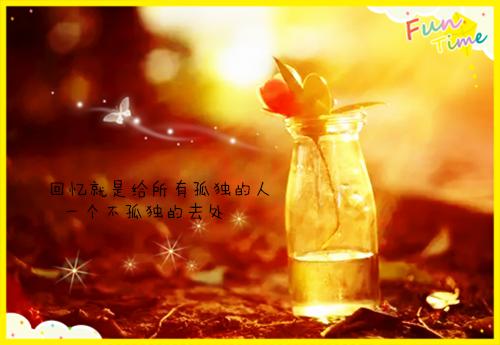 关于实习工作总结锦集八篇