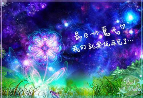 关于寒假见闻的日记250字