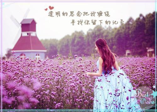 创编的儿童童话故事