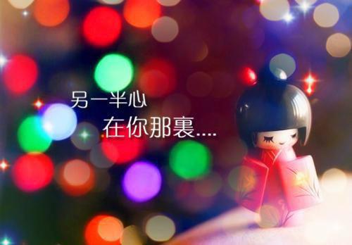 秦向依季珩小说《秦向依季珩》在线全文阅读