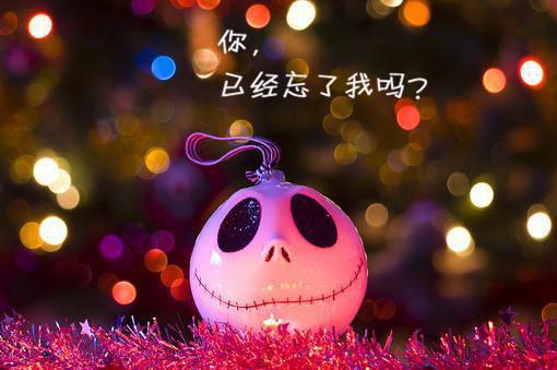 六翮飘飖私自怜，一离京洛十余年。