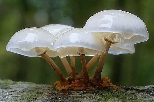 国庆节诗歌——《小蜡笔》