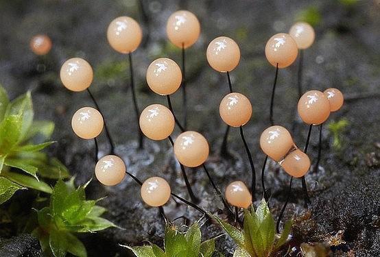 员工辞职报告范文汇总6篇