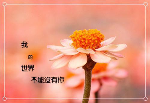 县党总支年终工作总结范本