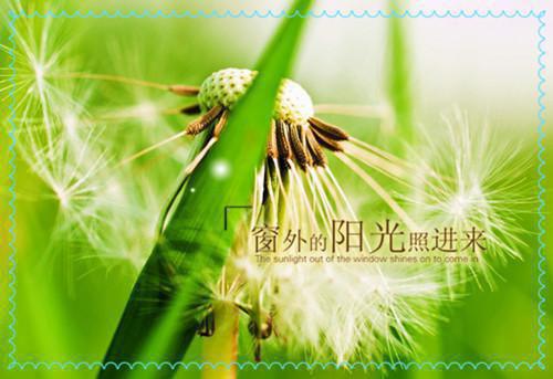 承租房租赁合同