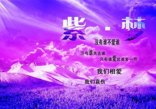 主持人朗诵