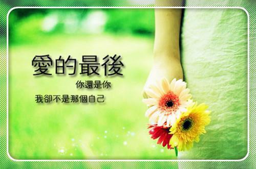 市林业局工作总结及工作安排