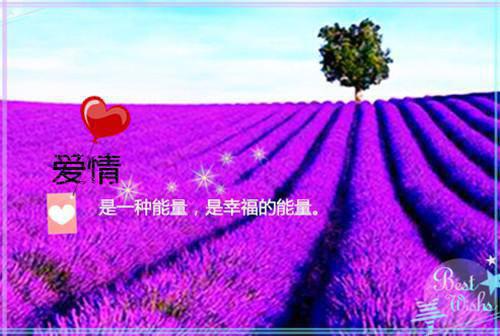 关于水的古诗