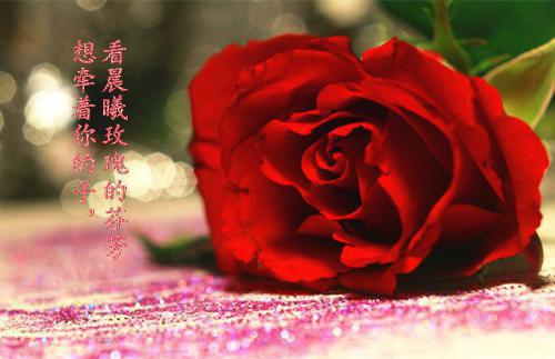 关于公司辞职报告范文