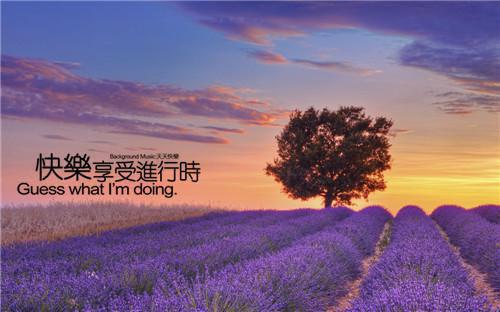 2023年公司员工辞职报告书
