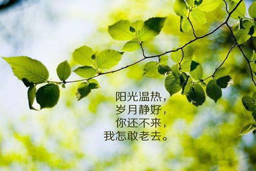 万里烟尘。回首中原泪满巾。