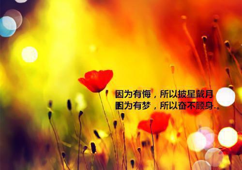 最新护理本科临床实习报告
