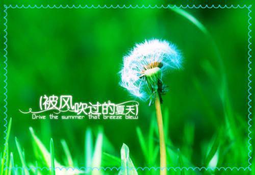 努力成功的例子3个