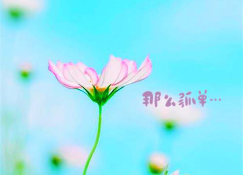 中秋节的诗句——《月夜》
