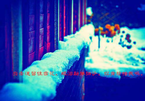 《顶岗实习报告》或《顶岗实习总结》写法及要求范文