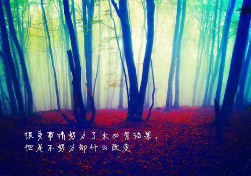 班级管理案例分析范文