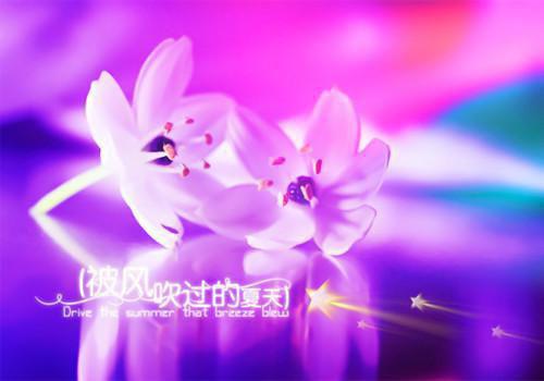 感悟人生的经典句子：生命像玩牌