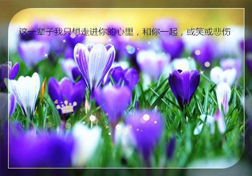 恩格斯名言名句大全