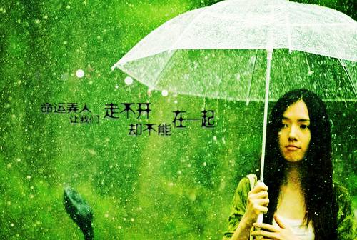 写景诗——《秋山望月酬李骑曹》