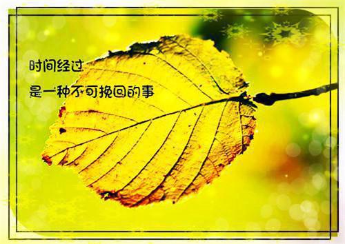 关于在路上的散文三篇