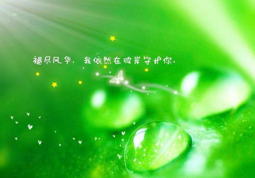 苏晚章节目录+序章（薄情如水深如海）全书畅享在线