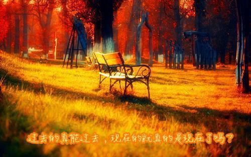 思乡的诗句——《忆蜀地佳人》