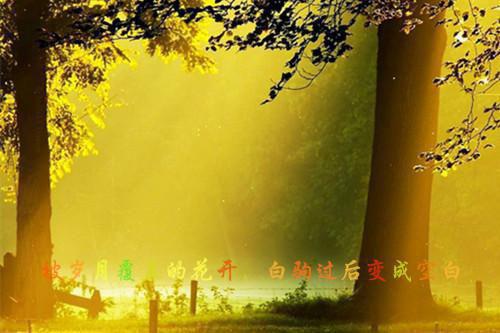 2023年思想汇报【参考范文】