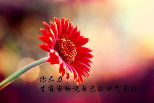 银行职员辞职报告精选模板