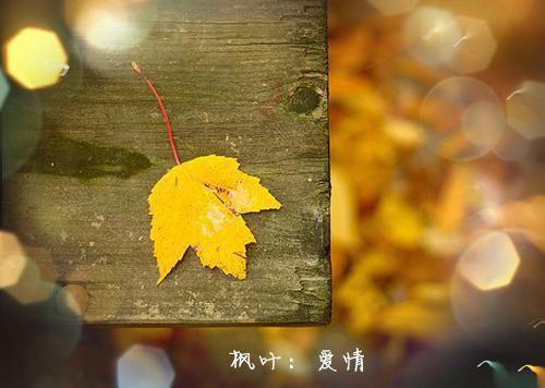 描写家庭的伤感散文随笔