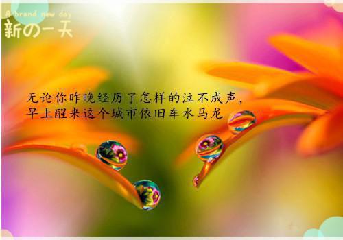新人结婚甜蜜祝福语
