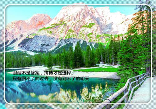 爱情人生励志名言