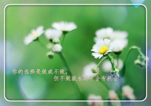 芳华轻逝，泪洒菩提