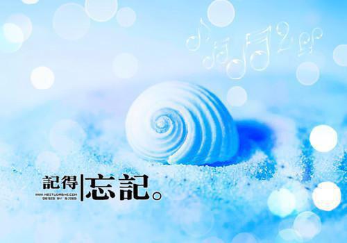 睡前故事宝宝