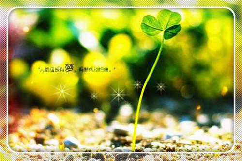 春天的花开在盛夏
