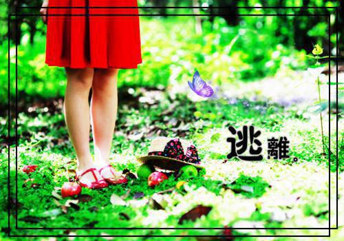 节目主持人的辞职报告