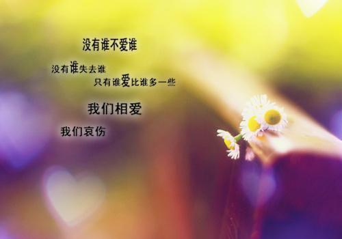 傲慢与偏见读书报告2000字