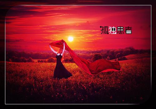 一句话情书语录