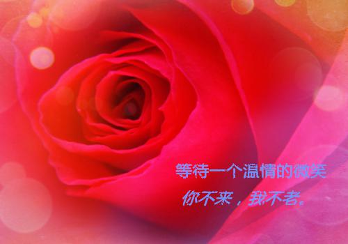 诚实守信寓言故事