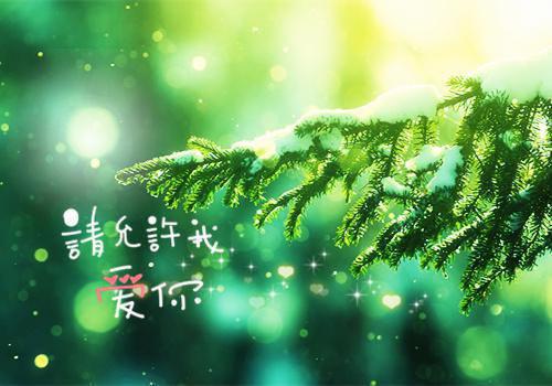 美国文学经典小说：《麦田里的守望者》