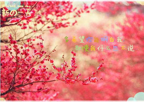 关于毛毛虫的故事毛毛虫