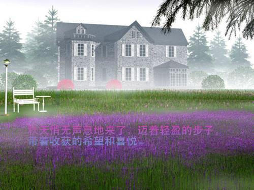 经典语句集锦