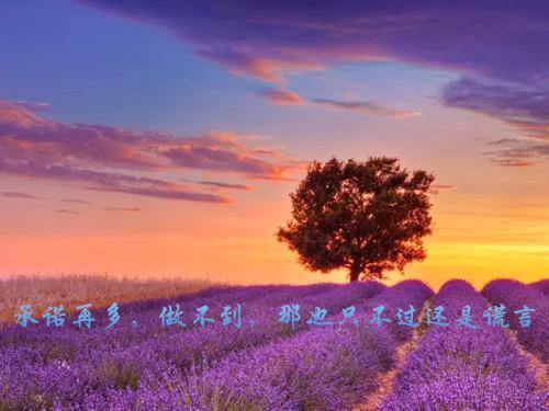 班主任班级管理工作总结