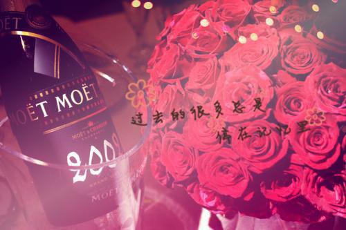 钟栗卫木栖(前世星光钟栗卫木栖）小说全文免费阅读无弹窗大结局_（钟栗卫木栖）钟栗卫木栖全文免费阅读最新章节列表笔趣阁（钟栗卫木栖）
